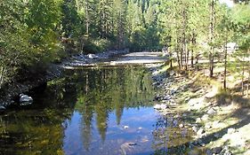 Yosemite Lakes Cabin 40