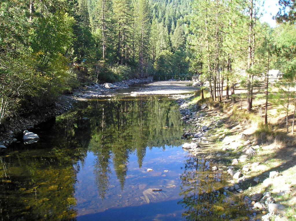 Yosemite Lakes Cabin 40 Harden Flat Exterior foto